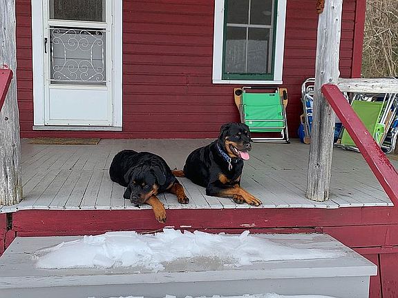 Cuties not included ;-)