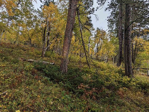 4th image of Prodigal Son Ld Terry Summit Rd