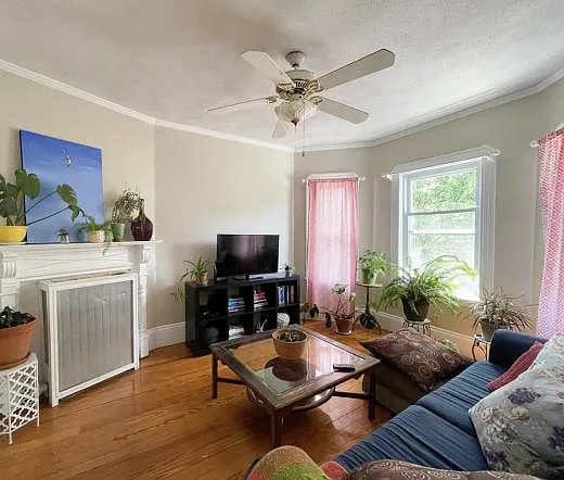 Living room, just painted