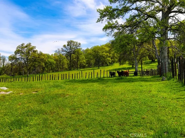 White Rock Rd Lot 21, Mariposa, CA 95338