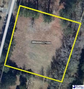 Ridgeview Rd, Marion, SC, 29571