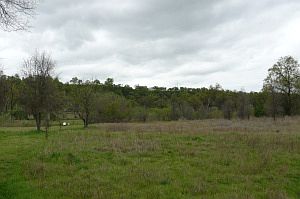 1st image of 12792 Classic Meadow Pl