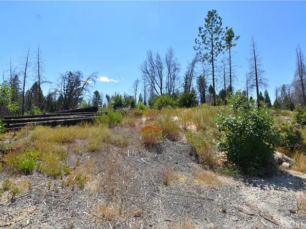 0 Madrone Way #131, Berry Creek, CA 95916