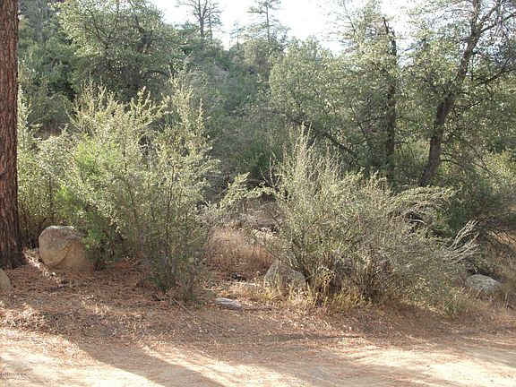 2nd image of 1815 Idylwild Hl