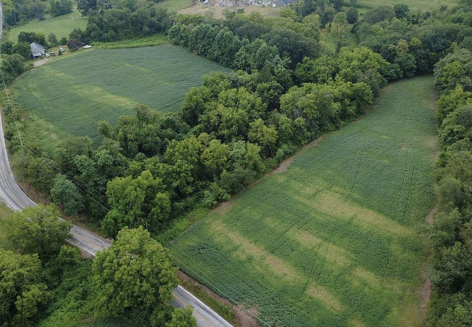 2nd image of Million Dollar Rd