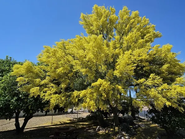 91 W Olive Dr, Green Valley, AZ 85614