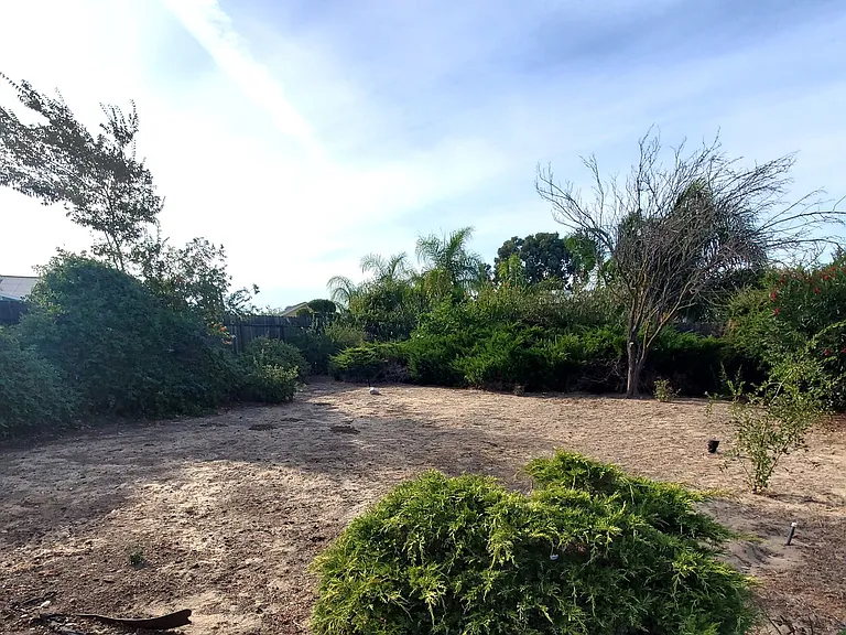 4199 Sequoia Dr — Photo 18