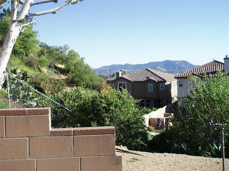 View From Patio