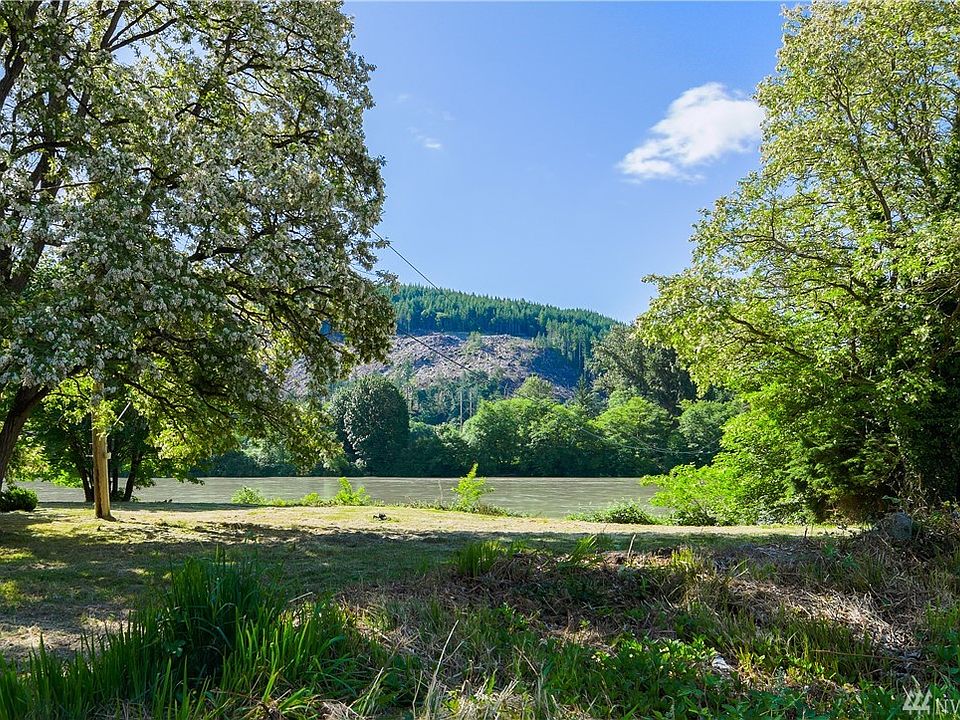 Old growth of cedars and fir trees throughout the property