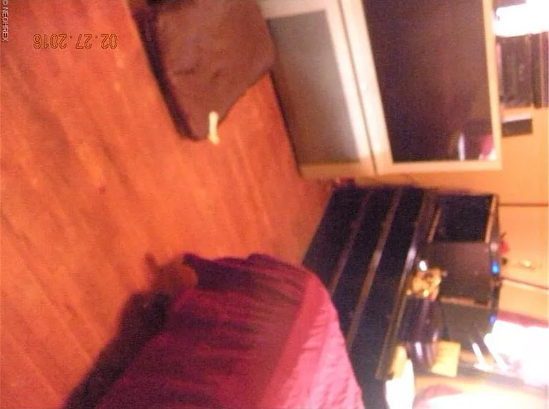 Thumbnail 13