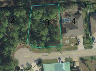 10 Radnor Pl, Palm Coast, FL 32164