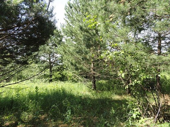 3rd image of TBD HWY 63 Highway