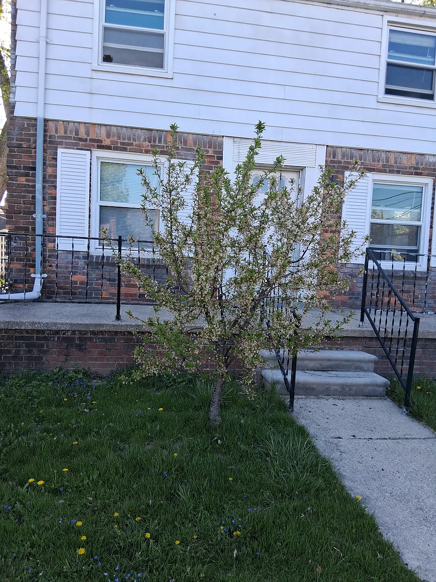 Building Photo - 4819 Woodworth St #HOUSE