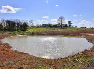 Tbd Cr 2993, Hughes Springs, TX 75656