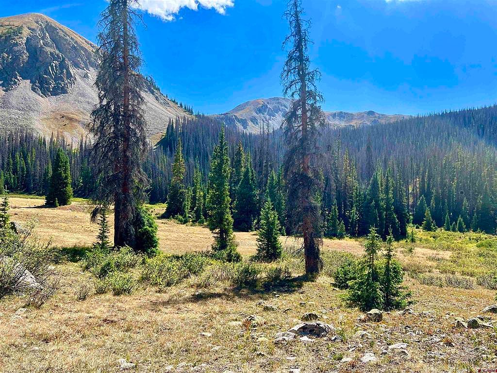 7800 Forest Service Rd 839, Pitkin, CO 81241 Zillow