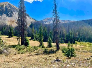 7800 Forest Service Rd #839, Pitkin, CO 81241