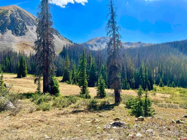 7800 Forest Service Road 839, Pitkin, CO 81241