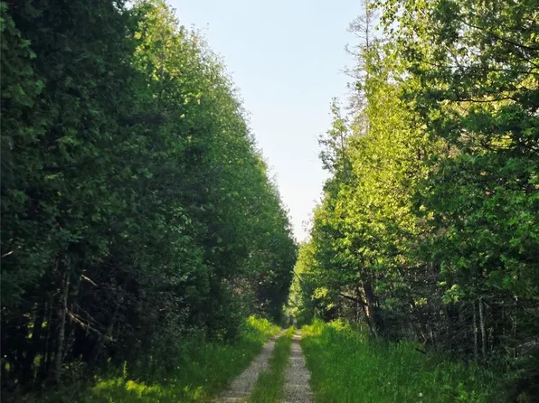 29240 S Aldrich Rd, Pickford, MI 49774