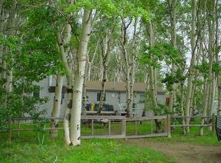 348 Aspen Ln, Hartsel, CO 80449