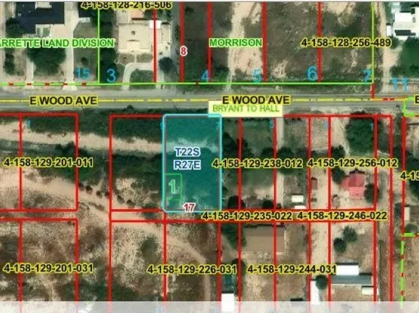1009 E Wood Ave, Carlsbad, NM 88220