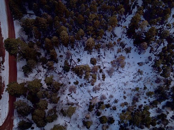 Aerial view @Spruce Ck Cir