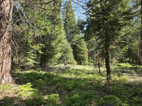 LOT 68 Old Mill Dr, McCloud, CA 96057