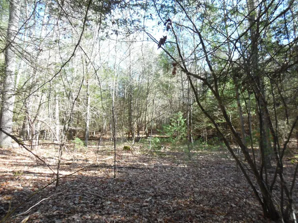 4 Beaver Creek Rd, Marlinton, WV 24954