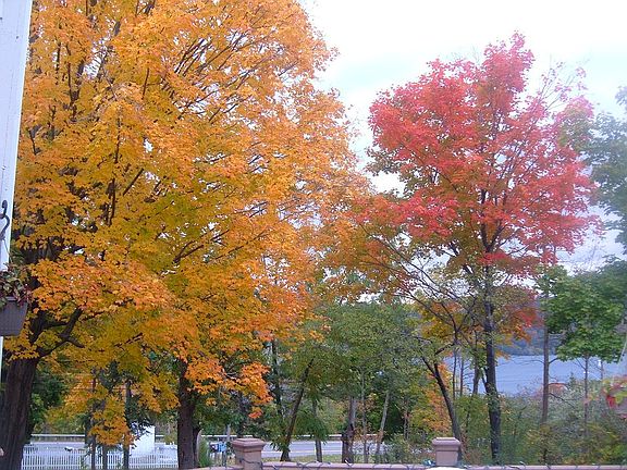 Seneca Lake from the deck