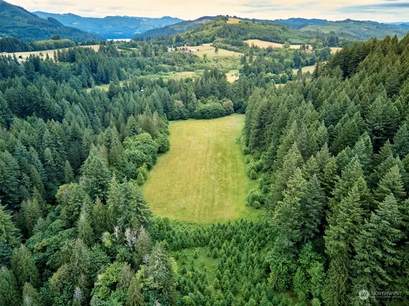 43404 NE Grist Mill Road, Woodland, WA 98674