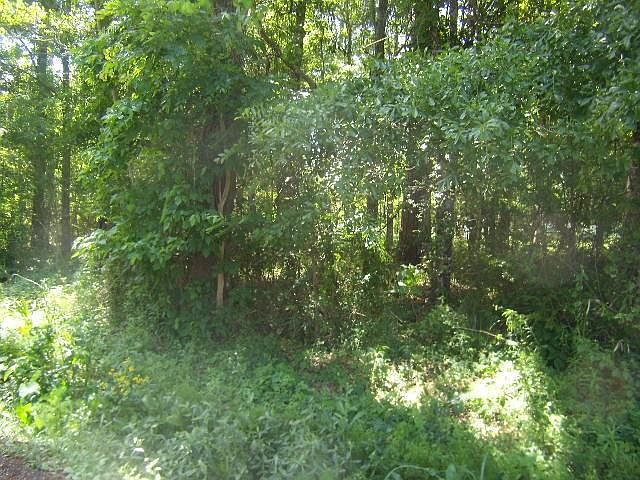 2nd image of Pine Dr