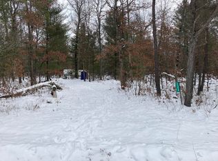 7354 S Nelson Rd, Chase, MI 49623