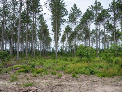Lot 6 Bollig Court #6, Nekoosa, WI, 54457