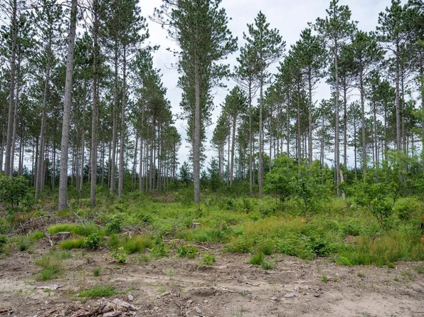 Lot 6 Bollig Court #6, Nekoosa, WI 54457