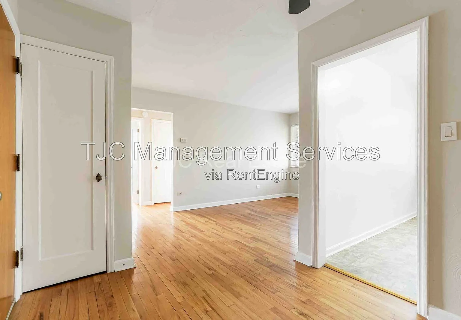 2 bed, 1.0 bath, 570 sqft, $1,360 — Photo 3