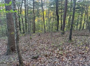 1057 Mayfield Ln NE, Ranger, GA 30734