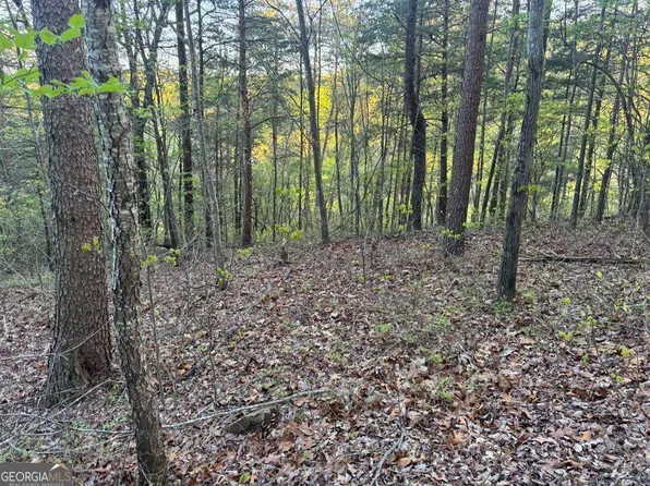 1057 Mayfield Ln NE, Ranger, GA 30734