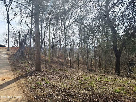 3rd image of Straight Branch Rd