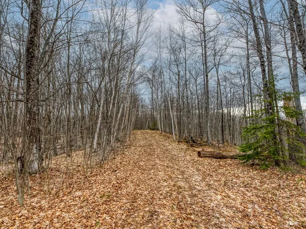Johnson Ln #7, Presque Isle, WI 54557