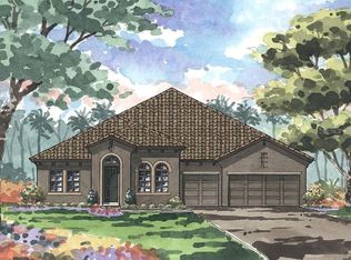 2805 Valencia Ridge St, Valrico, FL 33596