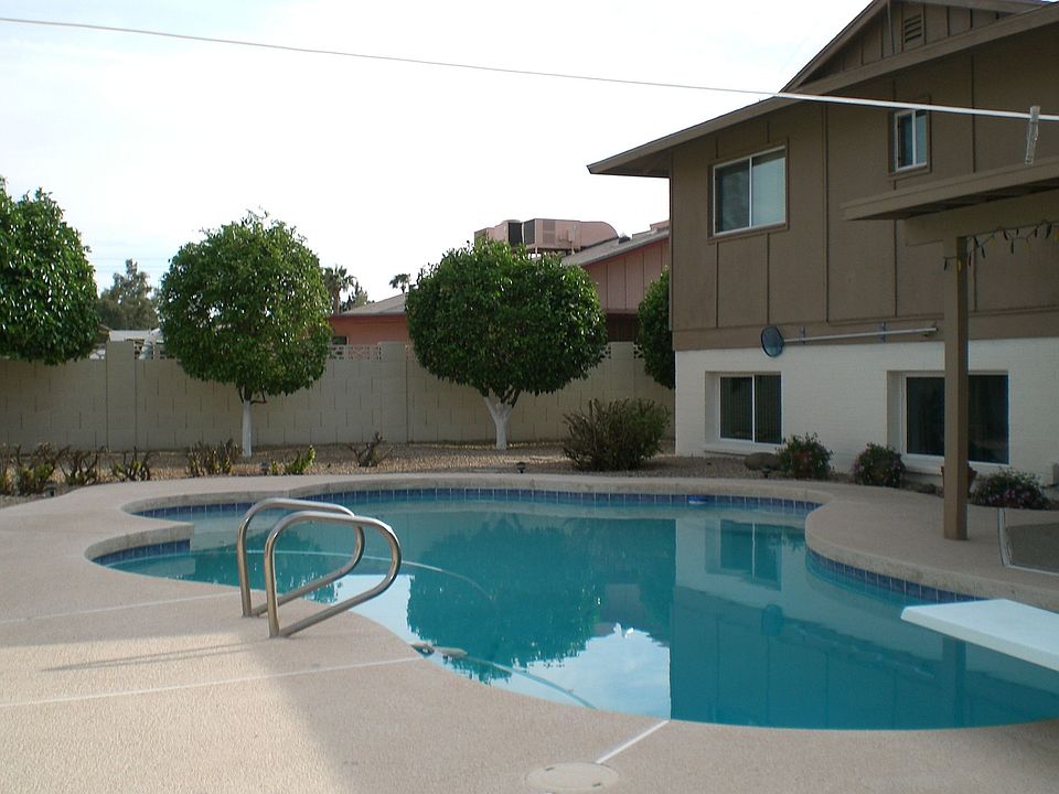 Great backyard