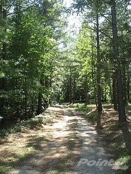 Beginning of drive way