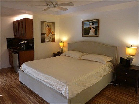 Downstairs Master bedroom an