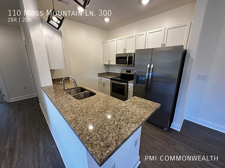 110 Moss Mountain Ln #300 — Photo 10