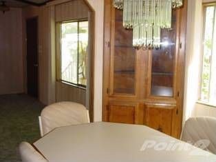 Live Oak 022