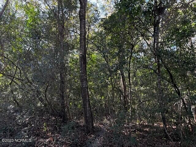 2nd image of 3 Three Flipper Trail