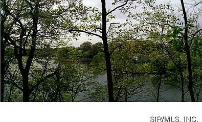 View From Deck