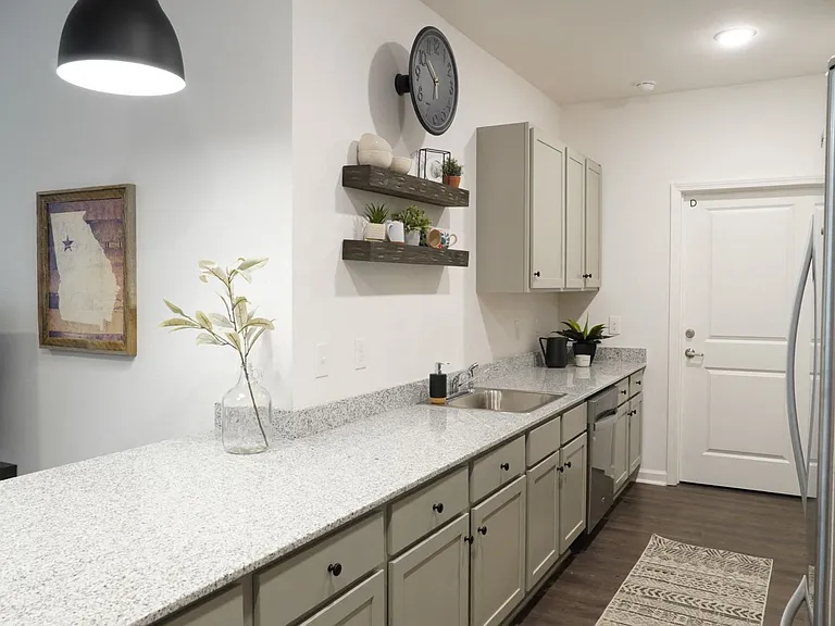 Flagship Carrollton Apartments and Townhomes — Photo 22