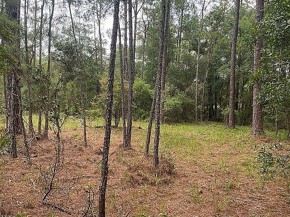 3rd image of 0 Faculty St Lot 6