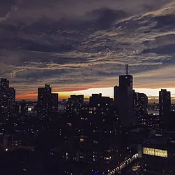 Rented by Bold New York