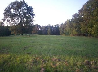 970 Angela Dr, Diana, TX 75640